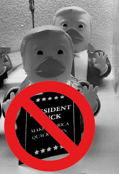 Lame DuckyThe voters have quacked!8112020-134618.jpg
