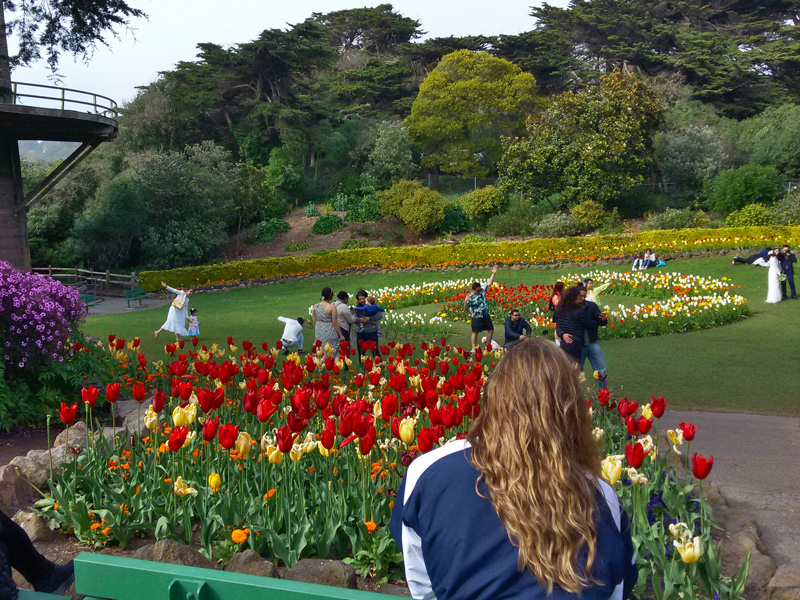 Tulip Garden Visitors20220404_170807