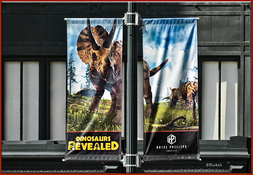 Outdoors Banner