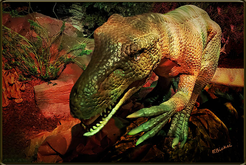 Primative Theropod Dinosaur