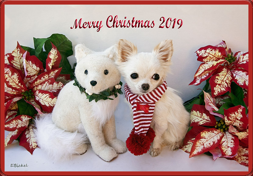 Merry Christmas 2019