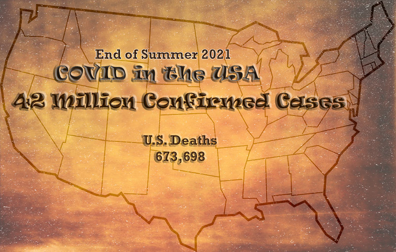 42 Million Confirmed US COVID Cases (9-19-21)