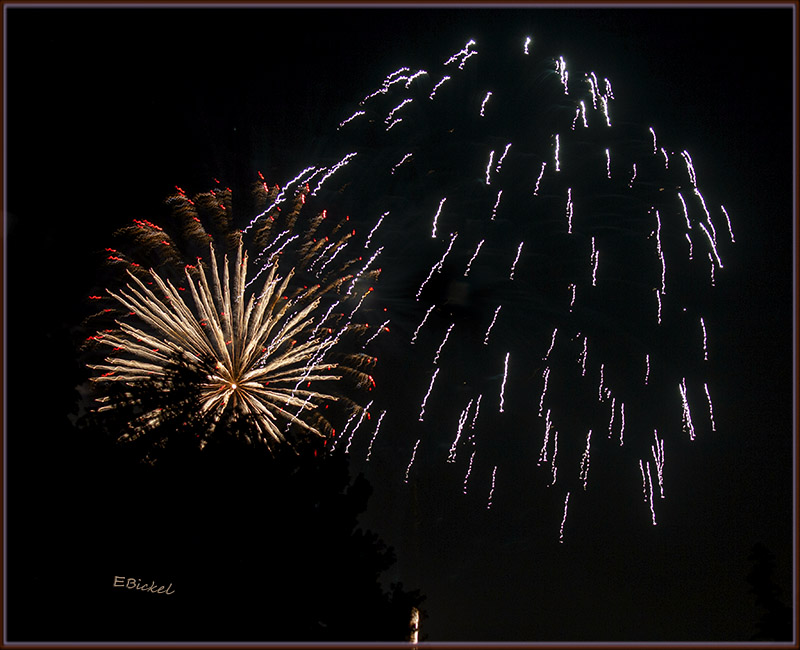 Fireworks Over the Backyard