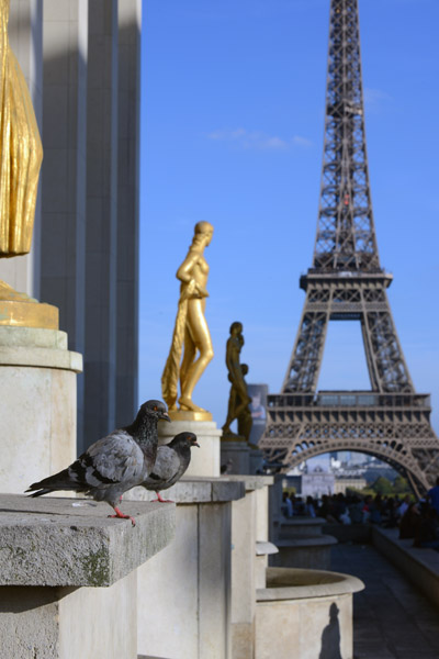 8 statues at the Palais de Chaillot were commissioned for the 1937 Universal Exhibition 