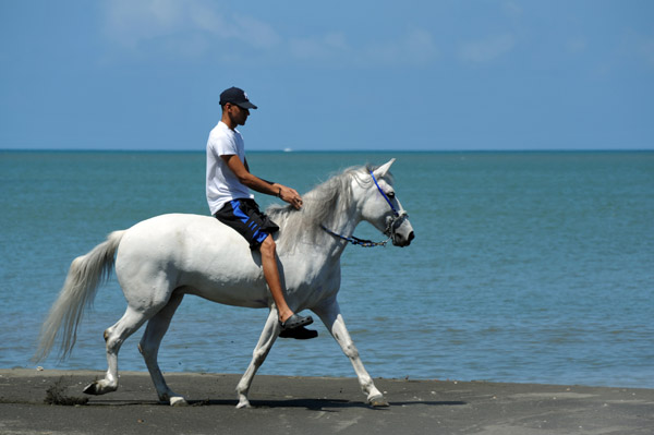 Puerto Rico Mar19 279.jpg