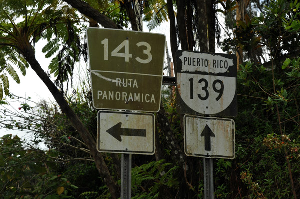 Puerto Rico Mar19 070.jpg
