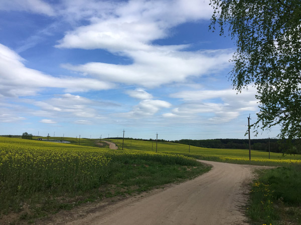 Gently rolling farmland north of the Drazdy Reservoir, Minsk