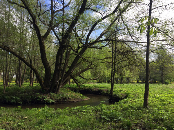 Small stream on the left bank of the Svislach River, Minsk