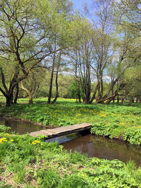 Small bridge, Drazdy Park, Minsk
