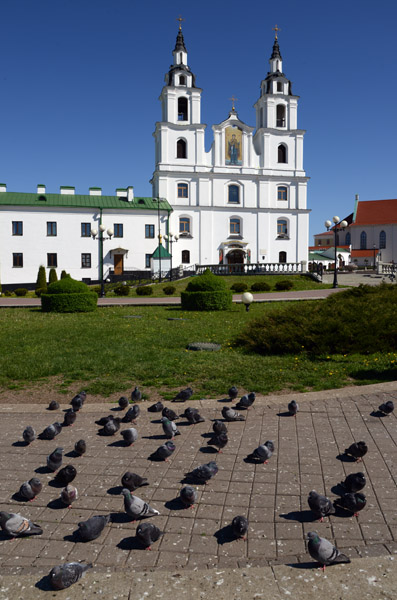 Pigeons in front of Holy Spirit Cathedral, Minsk