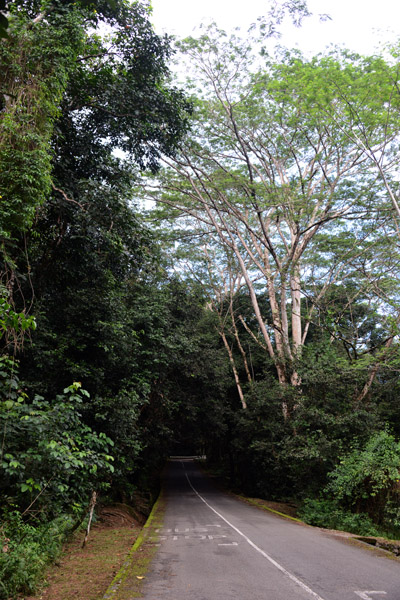 Seychelles Jul17 124.jpg