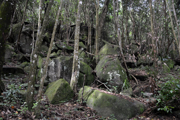 Seychelles Jul17 125.jpg