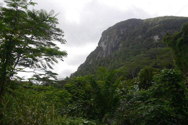 Seychelles Jul17 126.jpg