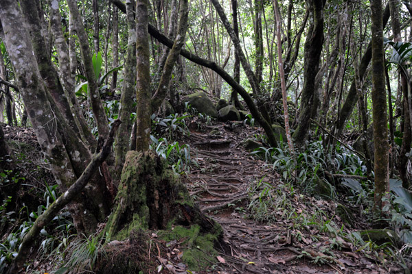 Seychelles Jul17 133.jpg