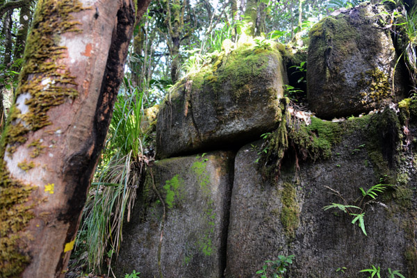 Seychelles Jul17 140.jpg