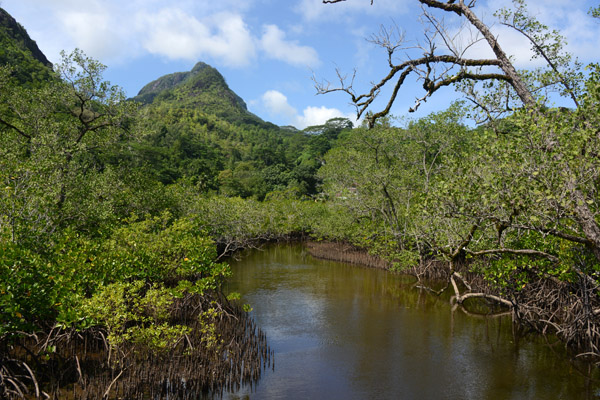 Seychelles Jul17 100.jpg