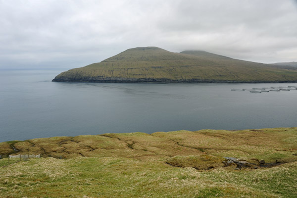 Bay with fish farms, Mivgur, Vgar, Faroe Islands