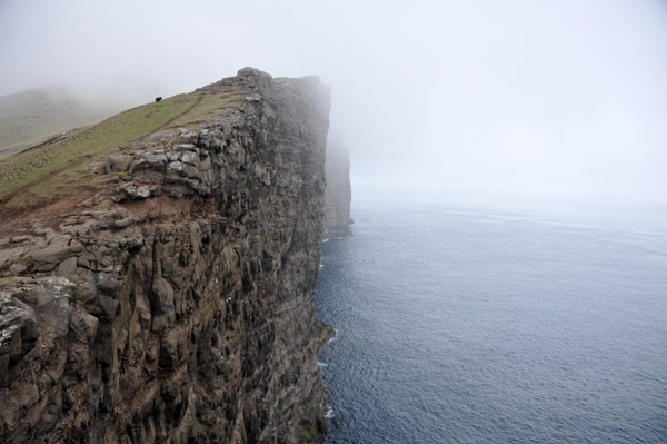 Cliffs of Trælanípan, Vágar