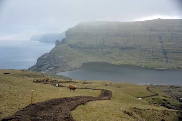 Trail leading to the highpoint of the Cliffs of Trælanípan, Vágar, Faroe Islands