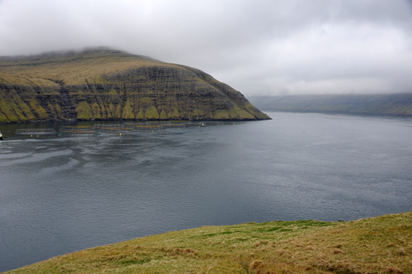 Bay of Vestmanna, Streymoy, Faroe Islands