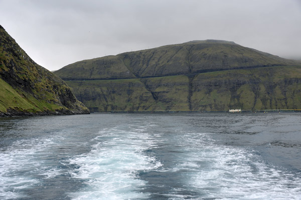 Sjferir boat tour leaving Vestmanna Bay, Streymoy