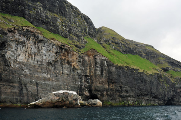 Green turf on the cliffs, west coast of Streymoy, Faroe Islands