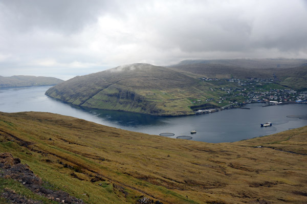 Bay of Vestmanna, Faroe Islands