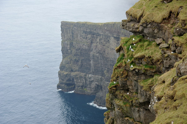 Cliffs of Gjgv, Eysturoy, Faroe Islands