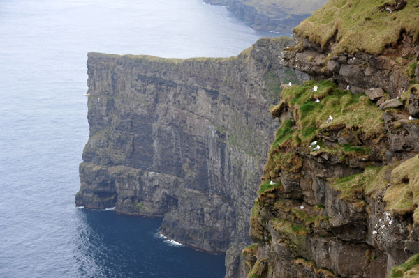 Cliffs of Gjgv, Eysturoy, Faroe Islands