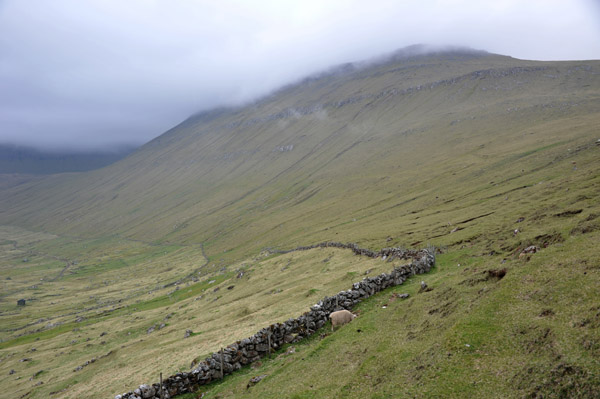 Dry stone wall on the pasture over Gjgv, Eysturoy, Faroe Islands