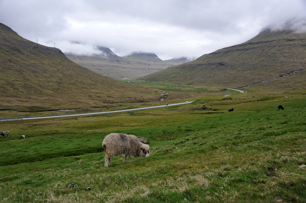 Oyndarfjar∂arlei∂ Scenic Route, Eysturoy, Faroe Islands
