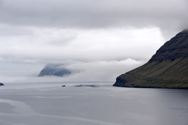 Thick sea fog obscuring the north end of Vi∂oy, Faroe Islands