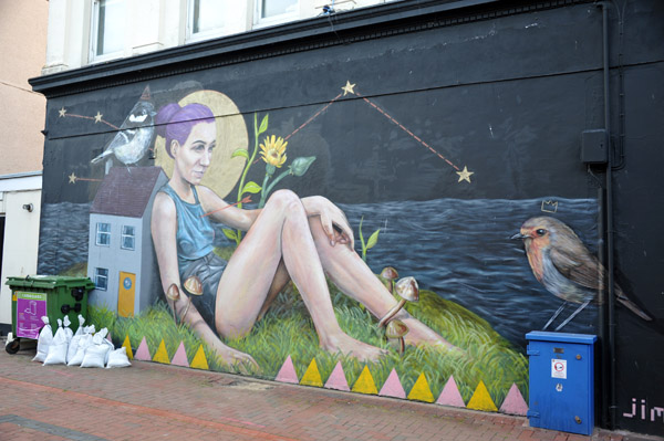 Mural of a purple hair lady reclining with birds, Douglas