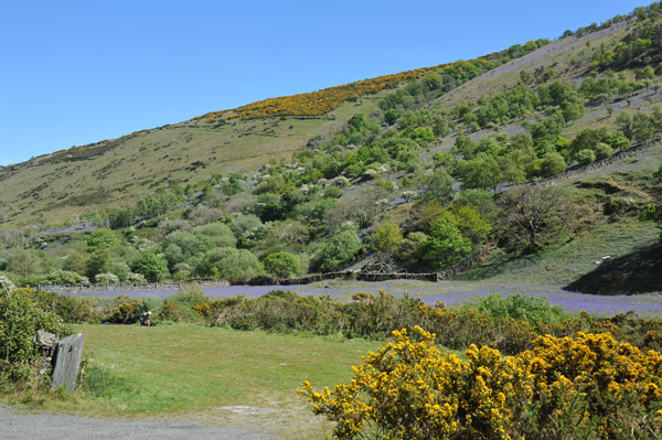 Selby River along the A14, Isle of Man