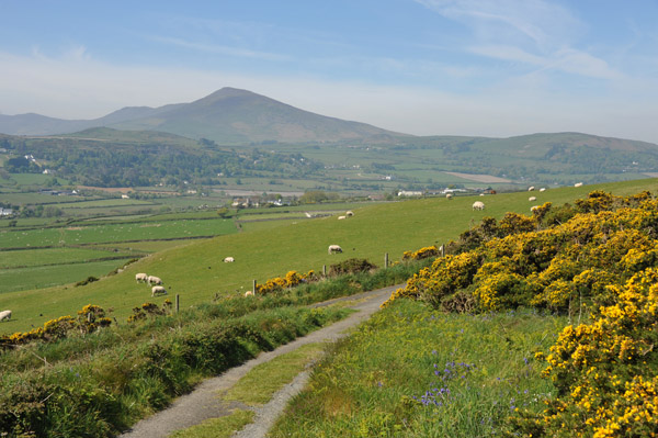 Mount Snaefel, Isle of Man, from Maughold Head
