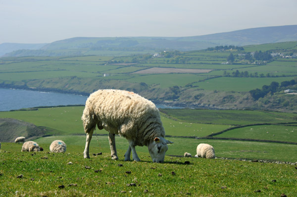 Maughold Head, Isle of Man
