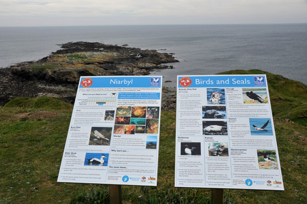 Niarbyl - chance to see Porpoise, Seal, Basking Shark, Minke Whale