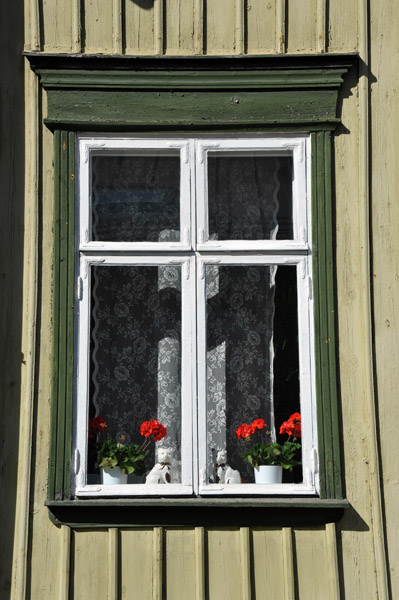Window with flowers in Old Rauma