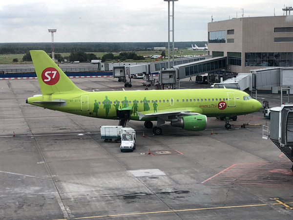 S7 Siberia Airlines A319 (VP-BTV) at Moscow DME