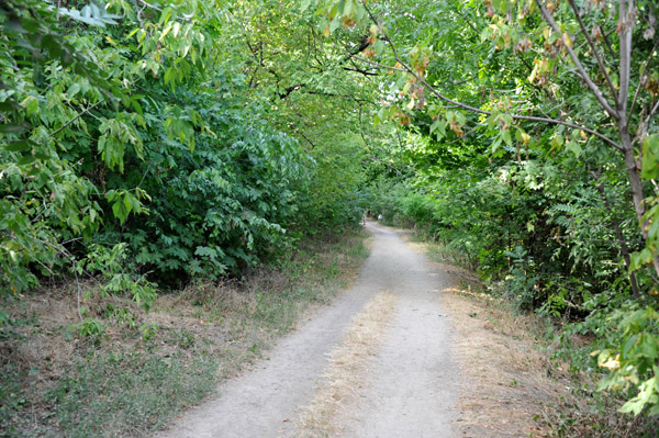 Zdorovya Track, Odessa