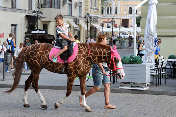 Horse painted up as a giraffe, Odessa