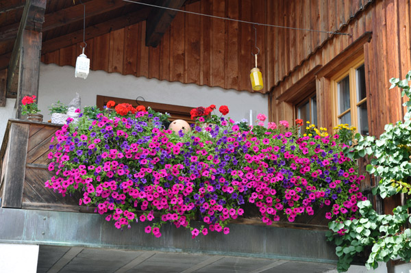 Pretty flowers on a typical house in Hallstatt