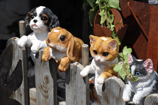 Cats, a puppy and a floppy eared rabbit, Hallstatt