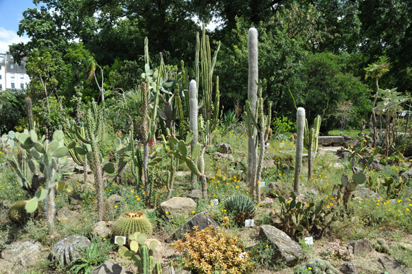 Cactus Garden - Botanischer Garten Universität Wien