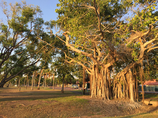 Darwin Sep18 039.jpg