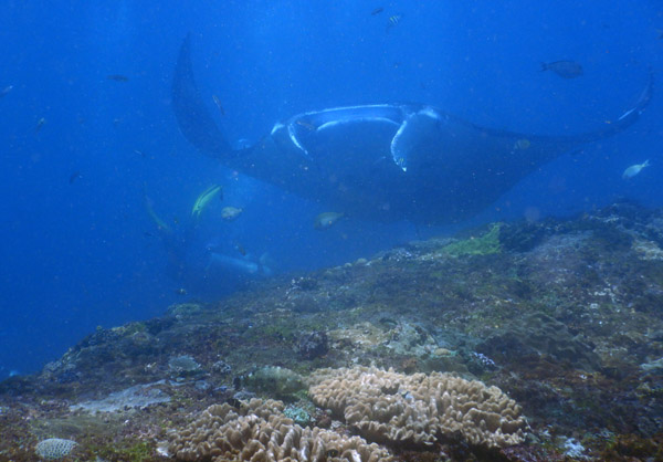 PenidaDive Sep18 079.jpg