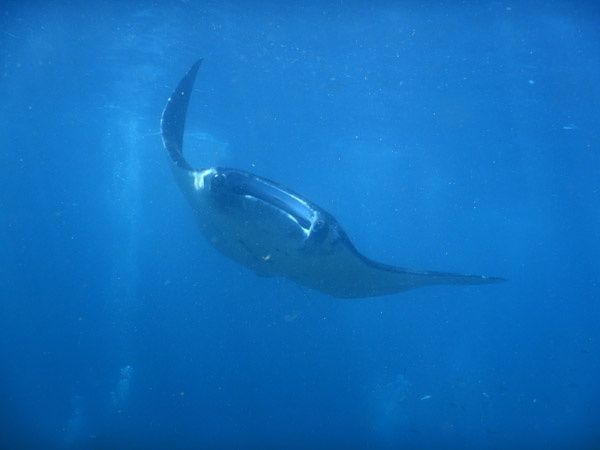 PenidaDive Sep18 087.jpg