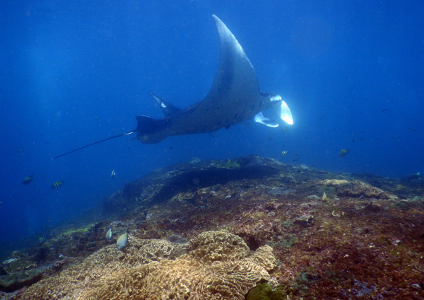 PenidaDive Sep18 093.jpg