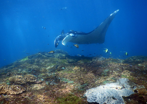 PenidaDive Sep18 109.jpg