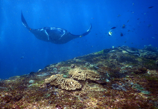 PenidaDive Sep18 118.jpg